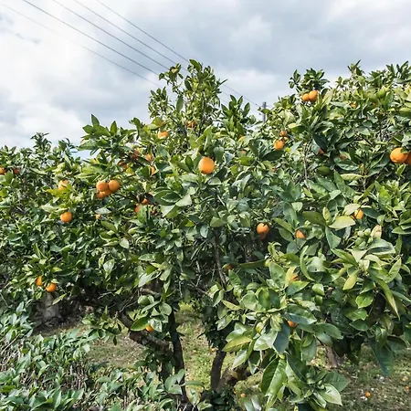 Kanelos Garden House *